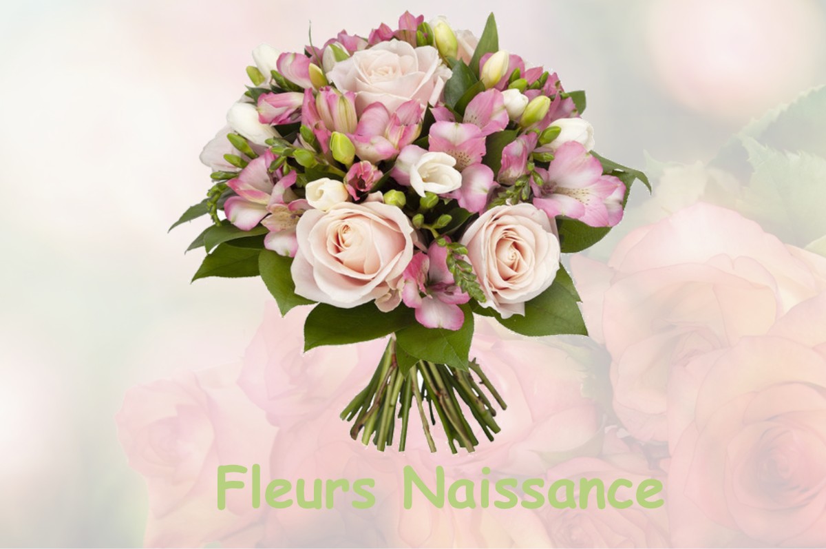 fleurs naissance LE-QUESNEL-AUBRY