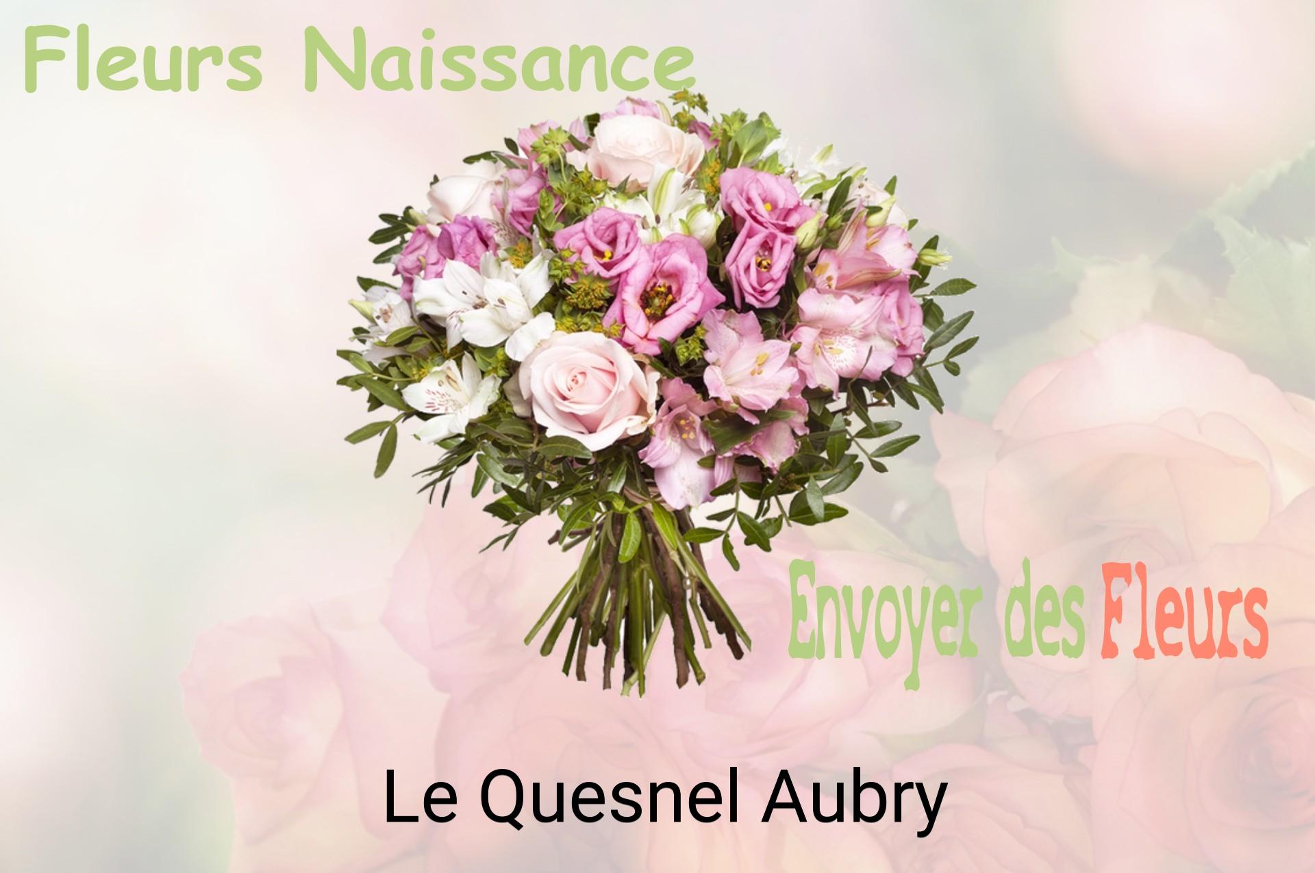 Bouquet de fleurs de naissance livré à Le Quesnel-Aubry
